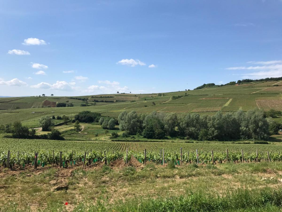 Figue Blanche Bed & Breakfast Montagny-les-Buxy
